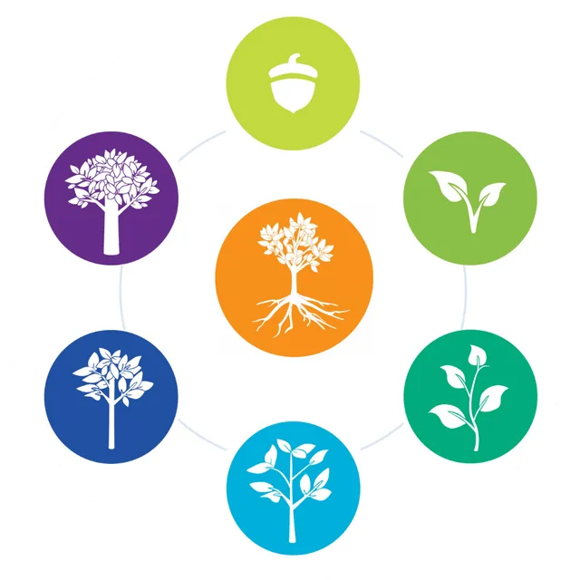 Idaho’s quality rating and improvement system (QRIS) for child care